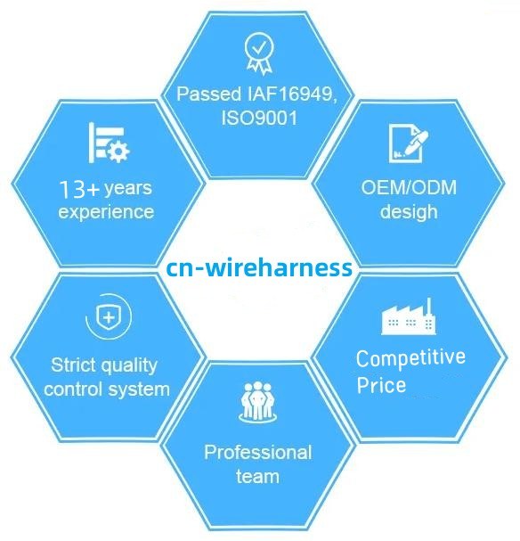 Customizze cablaggio imbracatura produzione cavo elettrico OEM & ODM 11