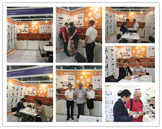 Assemblaggio di cablaggio elettrico per autoveicoli telaio cablaggio per porta posteriore personalizzato 9