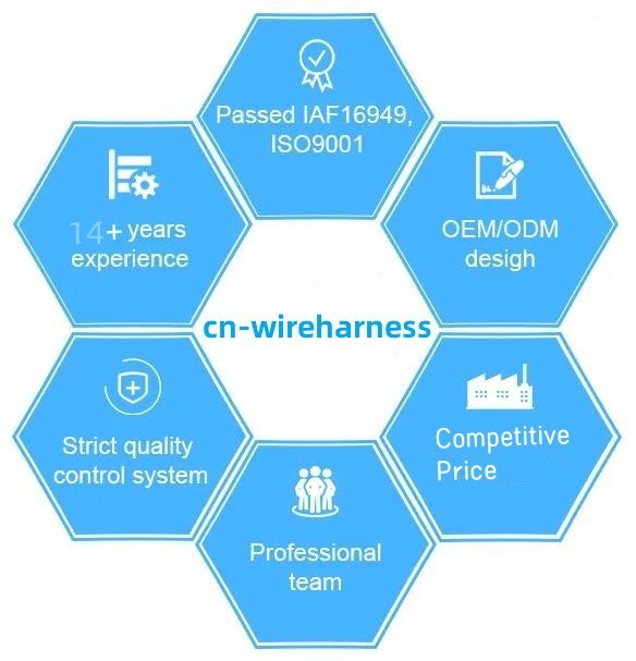 FCC Wire Harness Connector Customized 2 Pin 4 Pin LVDS Cable 8