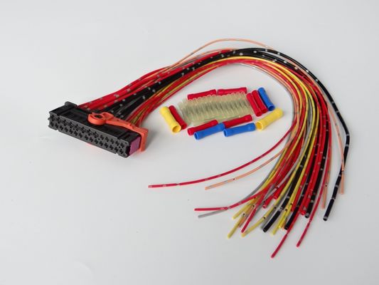 Collegamento della presa di corrente con cablaggio elettrico automatico 12V