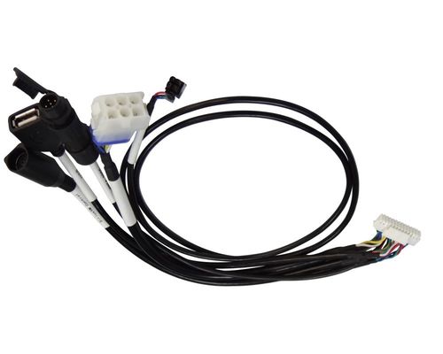 12 pin cablaggio elettrico imbracatura imbracatura elettrica automobilistica personalizzata