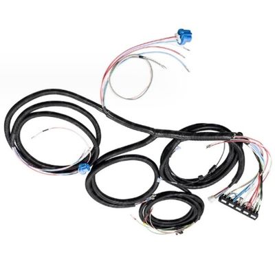 ISO ODM EV Cabling Harness Assemblaggio di cavi elettrici per l'automotive