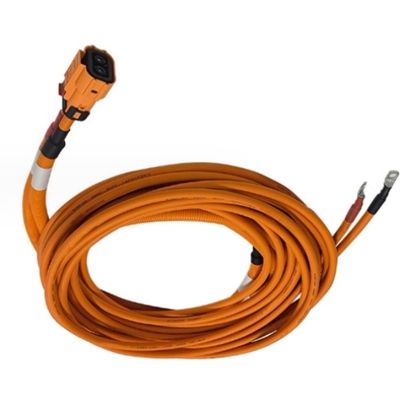 Assemblaggio di imbracature di cavi per veicoli elettrici personalizzati