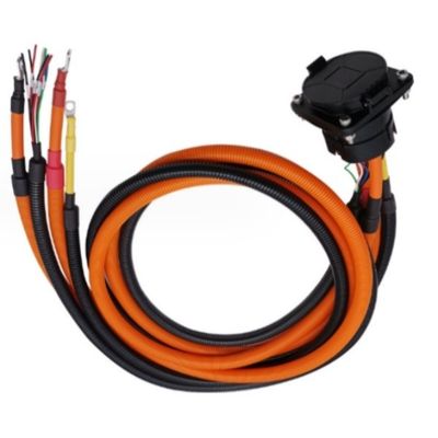 Assemblaggio di imbracature di cavi per veicoli elettrici personalizzati