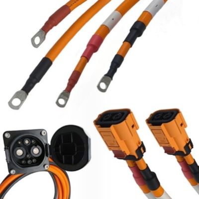 Assemblaggio di imbracature di cavi per veicoli elettrici personalizzati
